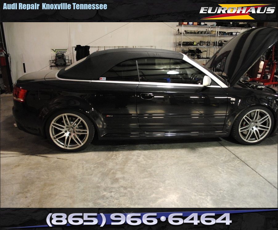 EuroHaus MotorSports Audi Repair Knoxville Tennessee ...